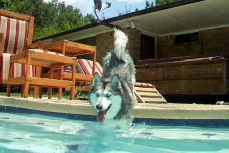 Kema in the Water 07.jpg